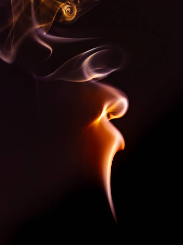 Seasons of Opportunity icon