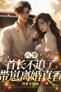 In the 1980s the Commander Stops Pursuing her Taking the Child and Getting Divorced is Surprisingly Satisfying icon