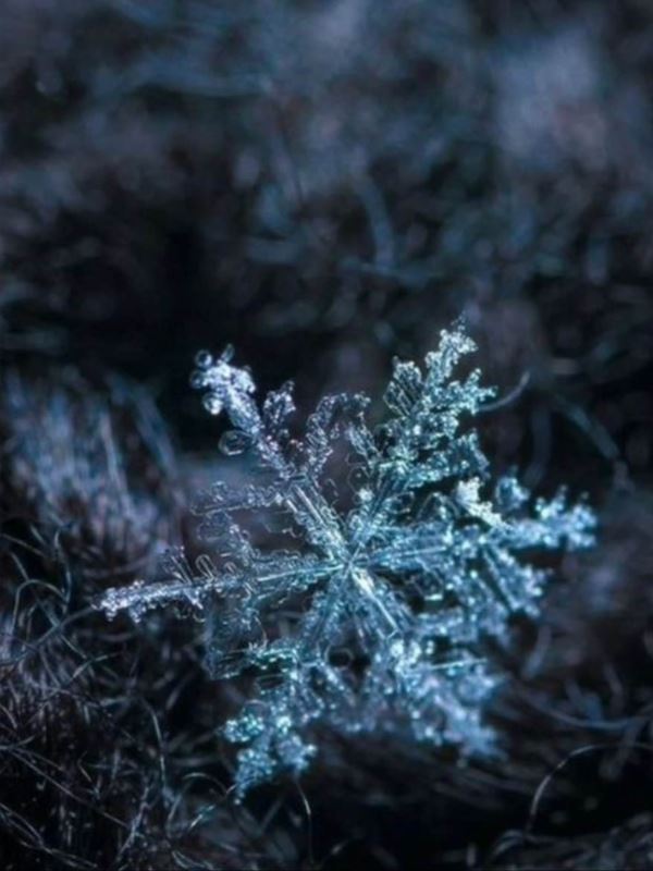 To Wake is to Weep icon