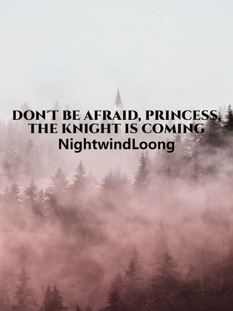 Don't be afraid, princess, the knight is coming icon