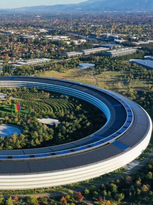 Silicon Valley King Starting From 1988 icon