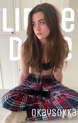 Little Dove | Daniel Hayward icon