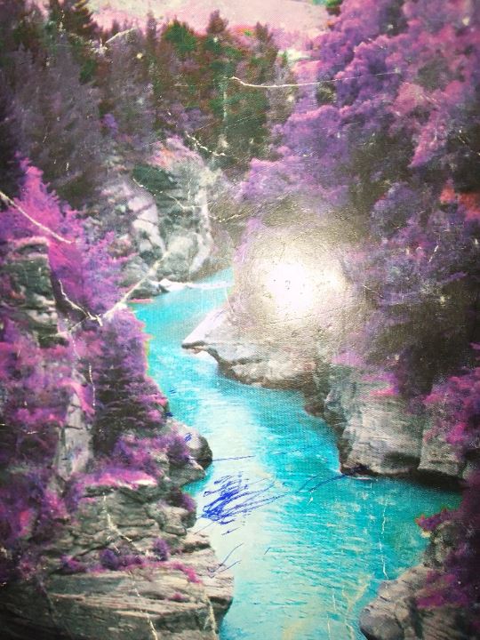 ENTANGLED ROOTS icon