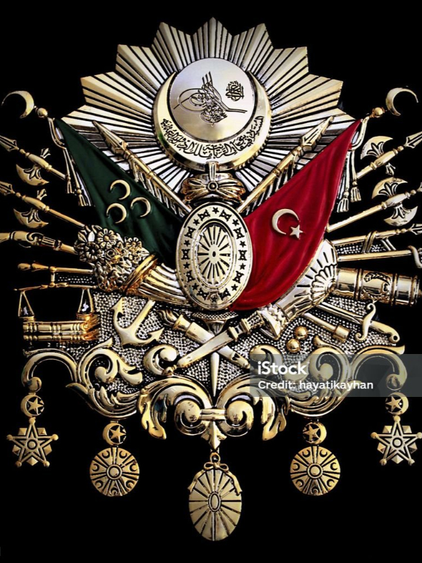 Reborn at End of Ottoman Empire: a Misfortune or an Oppurtunitiy? icon