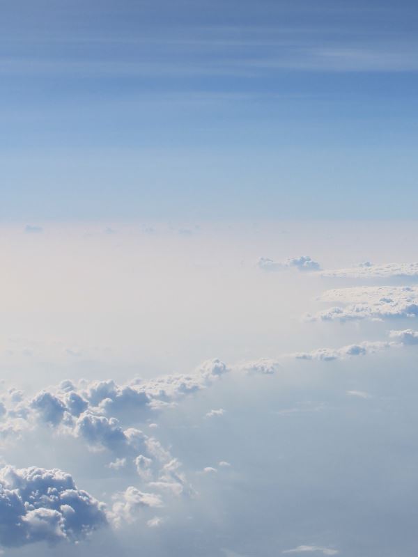 Double Jade's fate icon