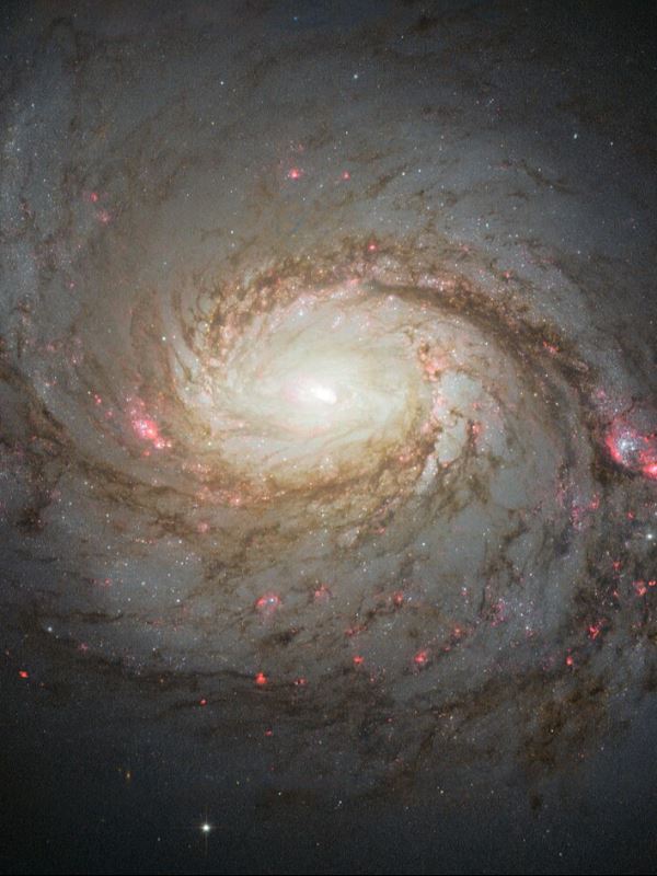 Sovereign of Chaos icon