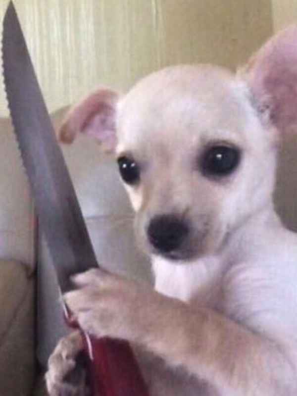 Island Survival: Starts by chopping a tree icon