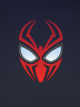 Spider-Man Evolution icon