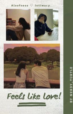 Feels Like Love! icon