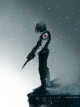 DC: Winter Soldier icon
