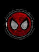 DC: The Amazing Spider-Man icon