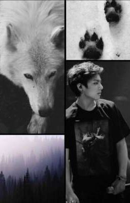 My 6 Alphas  Fan Fiction (COMPLETED) icon