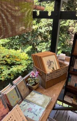 " well, no shit " | knb x hq chatfic icon