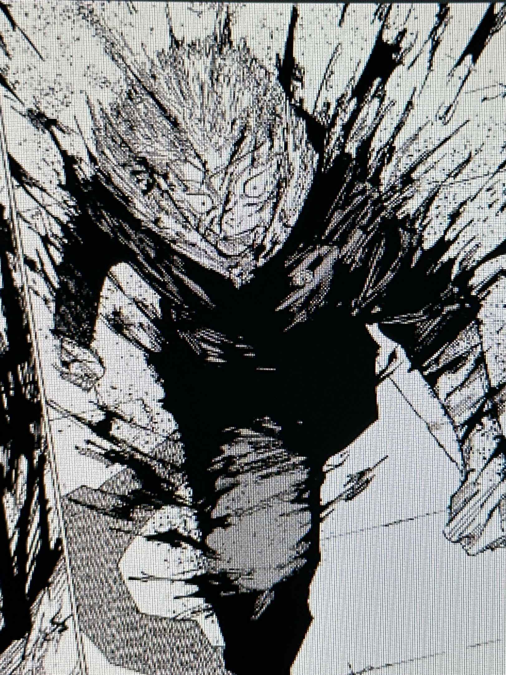 Nah I’d Black Flash icon