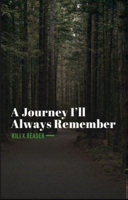 A Journey I'll Always Remember (Kili x Reader) icon