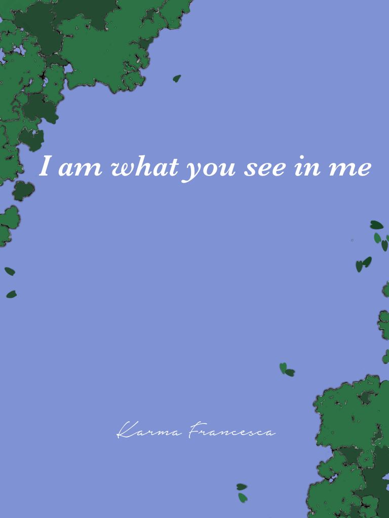 I Am What You See In Me icon
