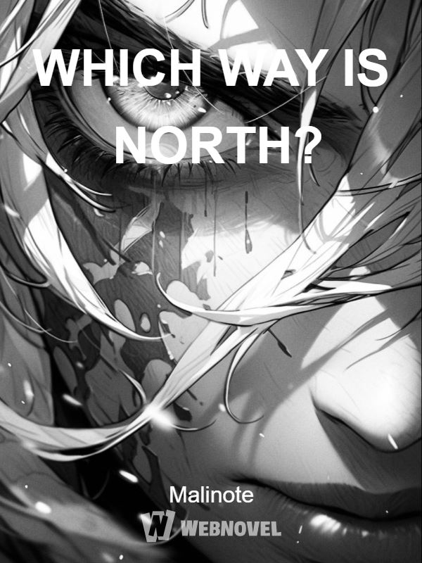 WHICH WAY IS NORTH? icon