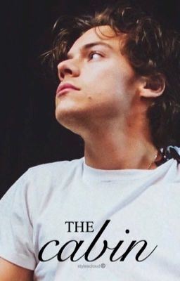 the cabin 》h.s icon