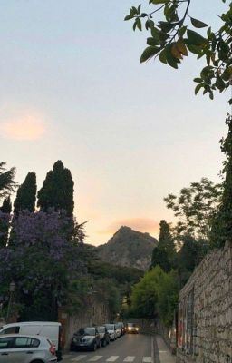 yes to heaven - trevor zegras icon