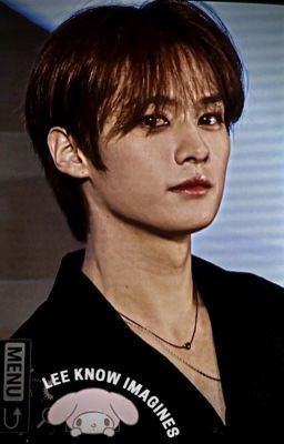 Lee Know Imagines icon