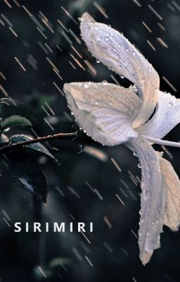 Sirimiri icon