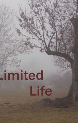 Limited Life icon
