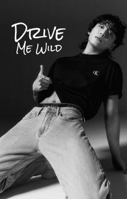 Drive Me Wild (18+) icon