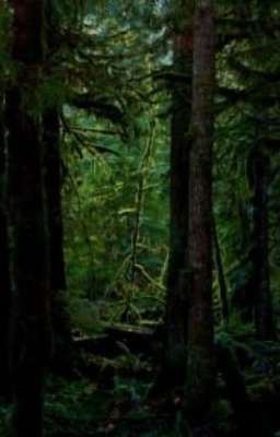 We Are Not Alone Here | Creepypasta icon