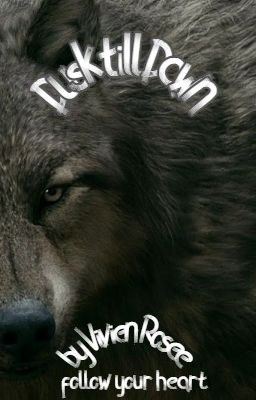 Dusk till Dawn | Paul Lahote ✔️ icon