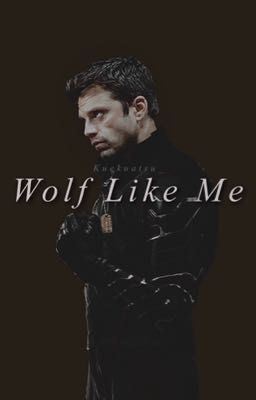 Wolf Like Me • Bucky Barnes icon