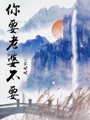 Do You Want a Wife or Not? icon