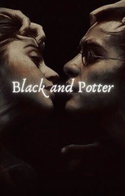 Black and Potter | H. Potter icon