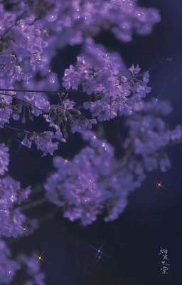 He SUCKS (mxm ddlb) icon