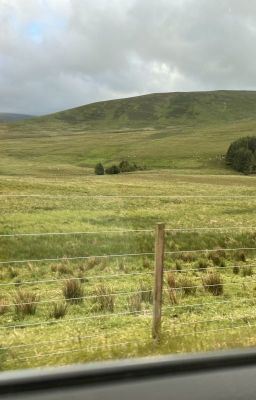 A Home For Emily icon