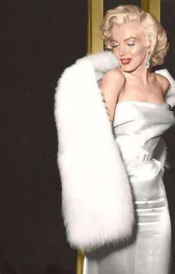 ᴄᴜʀꜱᴇ'ꜱ - ʏᴀɴ.ᴊᴊᴋ x ʀᴇᴀᴅᴇʀ icon