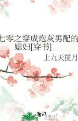 In the 1970s, the wife of a cannon fodder male partner icon