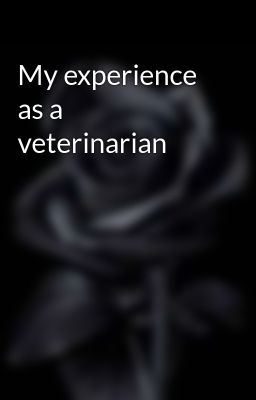 My experience as a veterinarian icon