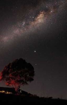 Rewrite the stars (One short) icon