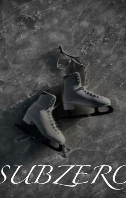 Subzero icon