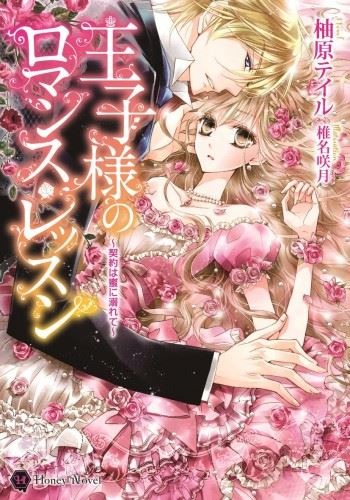 Ouji-sama no Romance Lesson - Keiyaku wa Mitsu ni Oborete icon