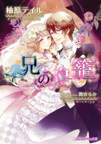 Ani no Torikago icon