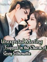 Unexpected Meeting: 
Trapped in the Charm of Grey Silhoutte icon