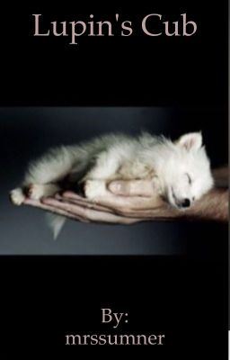 Lupin's cub (Remus Lupin's Unknown daughter) icon