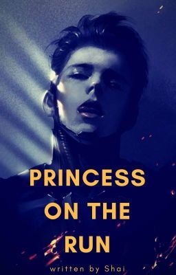 Princess on the Run [Completed] icon