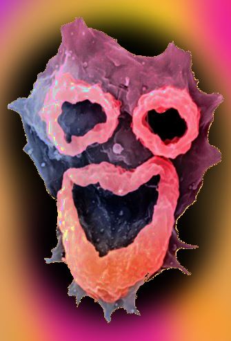 The Afterlife, And How To Survive It icon