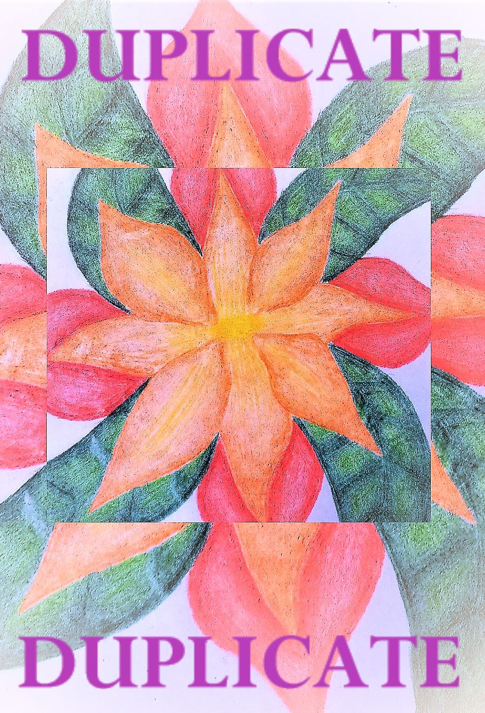 Duplicate!! (Completed) icon