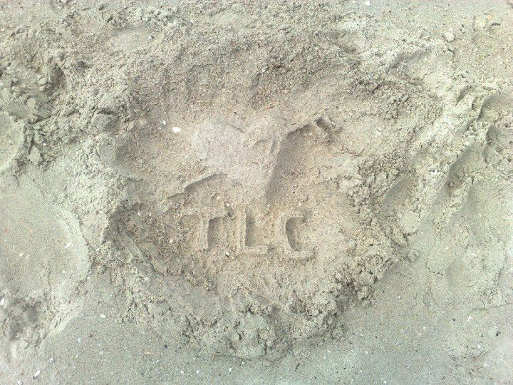 Book of TLC icon