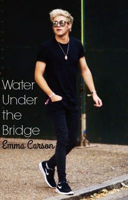 Water Under the Bridge ›› n.h. mature icon
