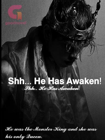 Shh.. He Has Awaken! icon