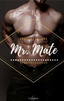 Mr.Mate icon